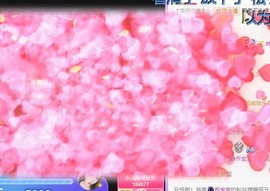 熙柔求宠爱主播照片