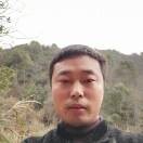 强子yn3