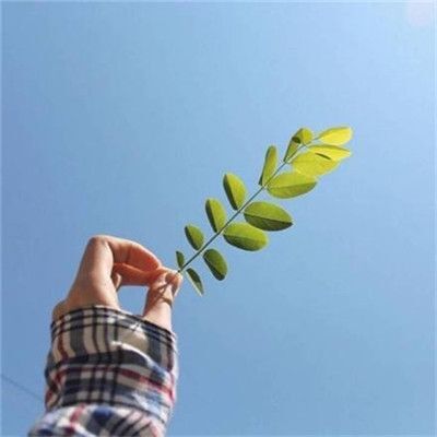 伊娜🎶静静唱的图片