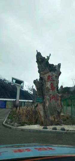 ……若主播照片