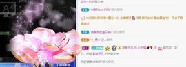 小奶猫谢谢哥哥们主播照片