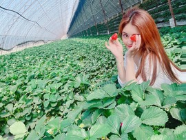 跑调嘉💟休主播照片