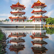 🦉心💫语✨海报