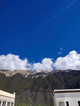 ……若主播照片