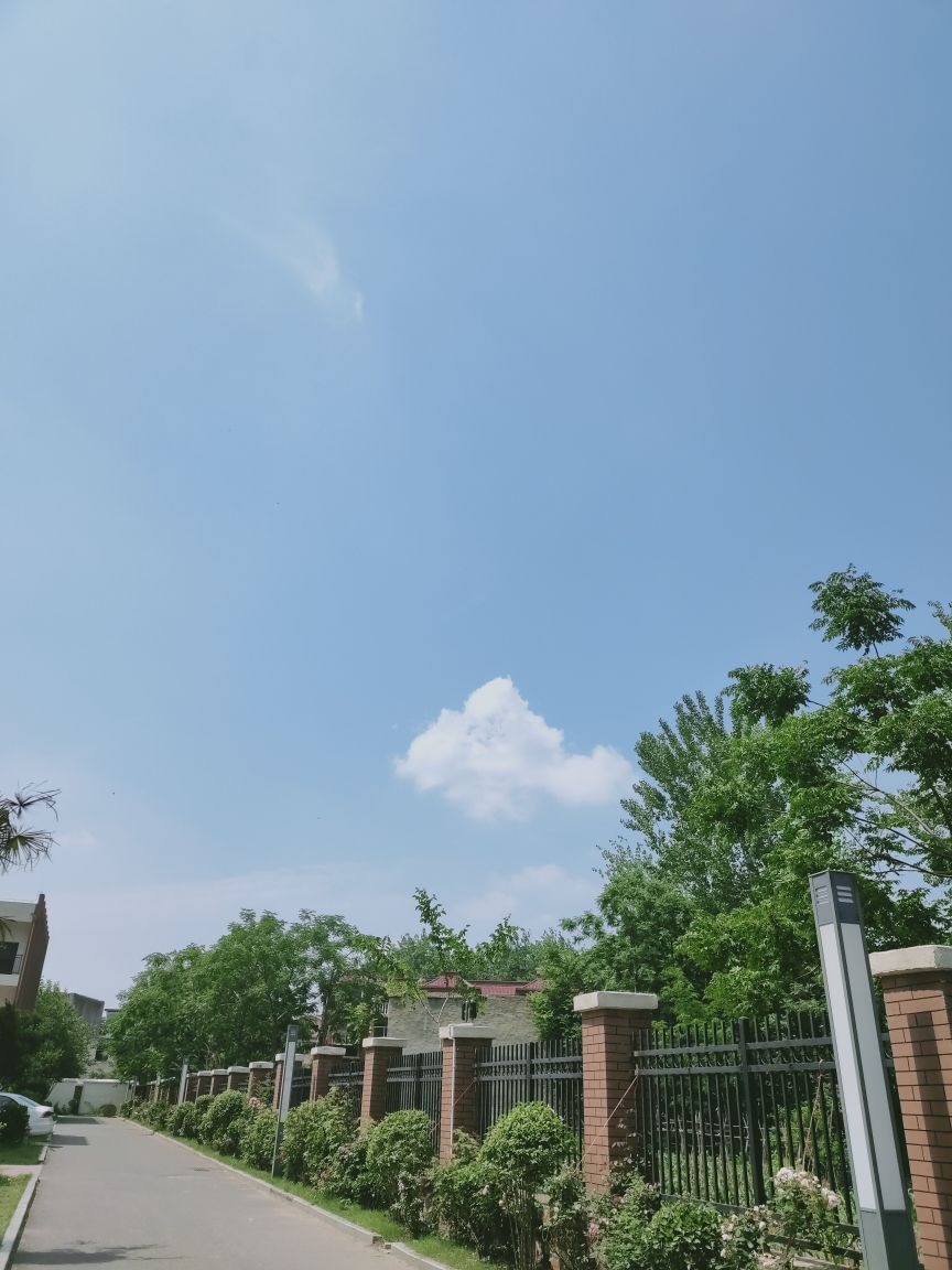 婷婷💕求过月底任务的图片
