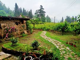 三妹在农村主播照片