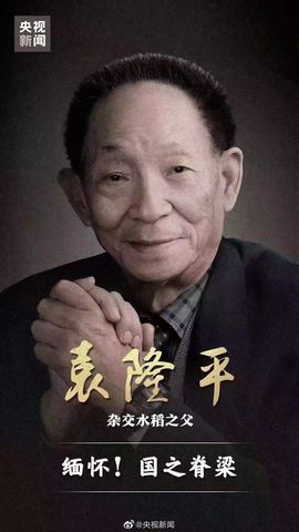 糖笑笑゛等风也等伱的图片