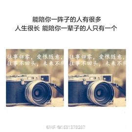 爱在晚秋🐲（关关）的图片