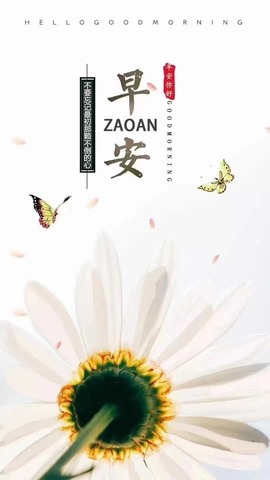 夋夋休息的图片
