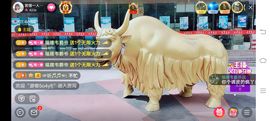 ……若主播照片