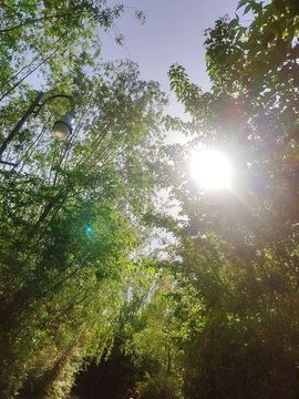 ღ娜娜ぃ安静唱歌🍀主播照片