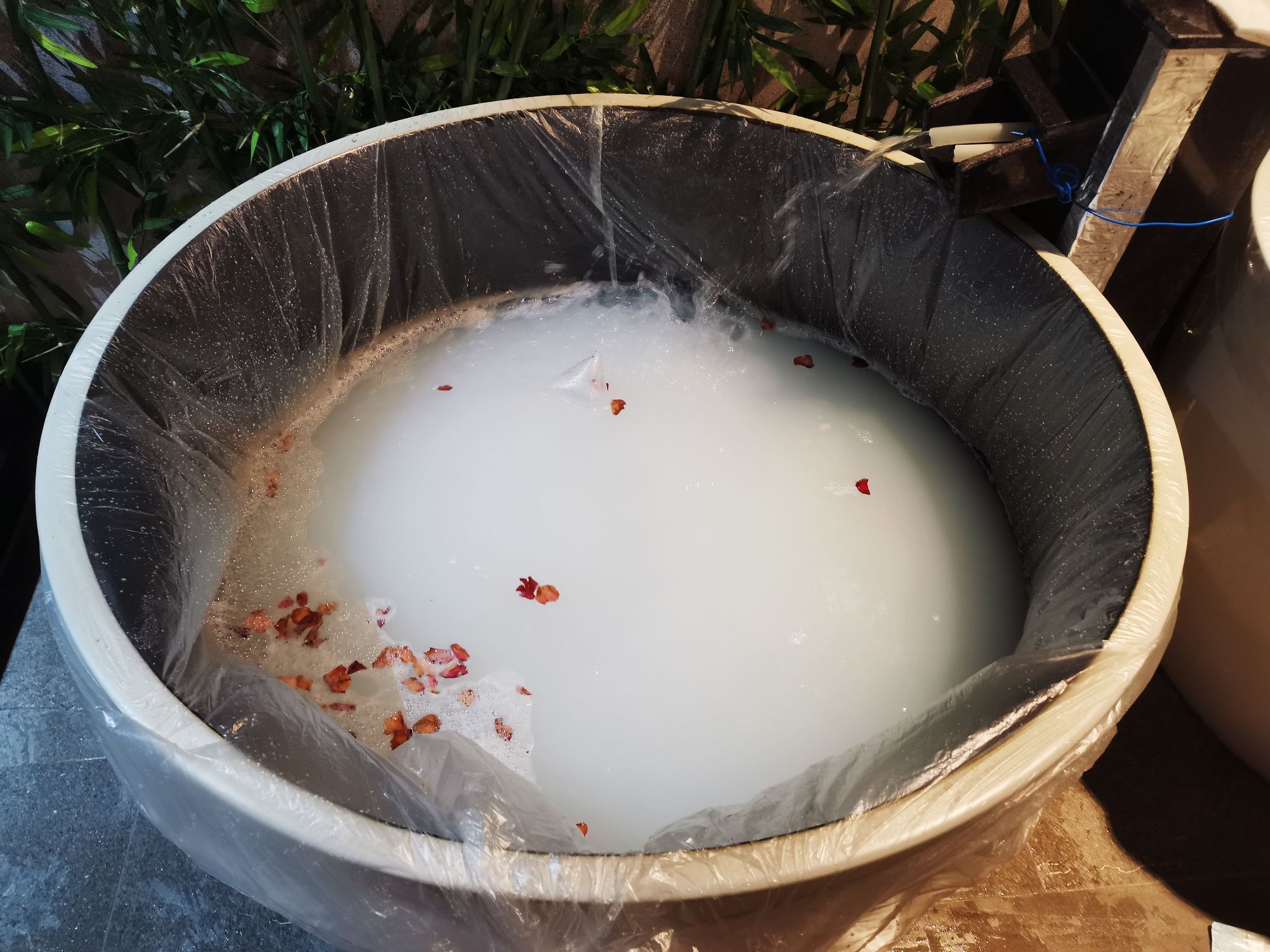 小黄黄黄黄黄.的图片