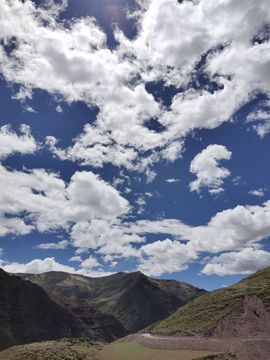 ……若主播照片