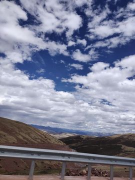 ……若主播照片