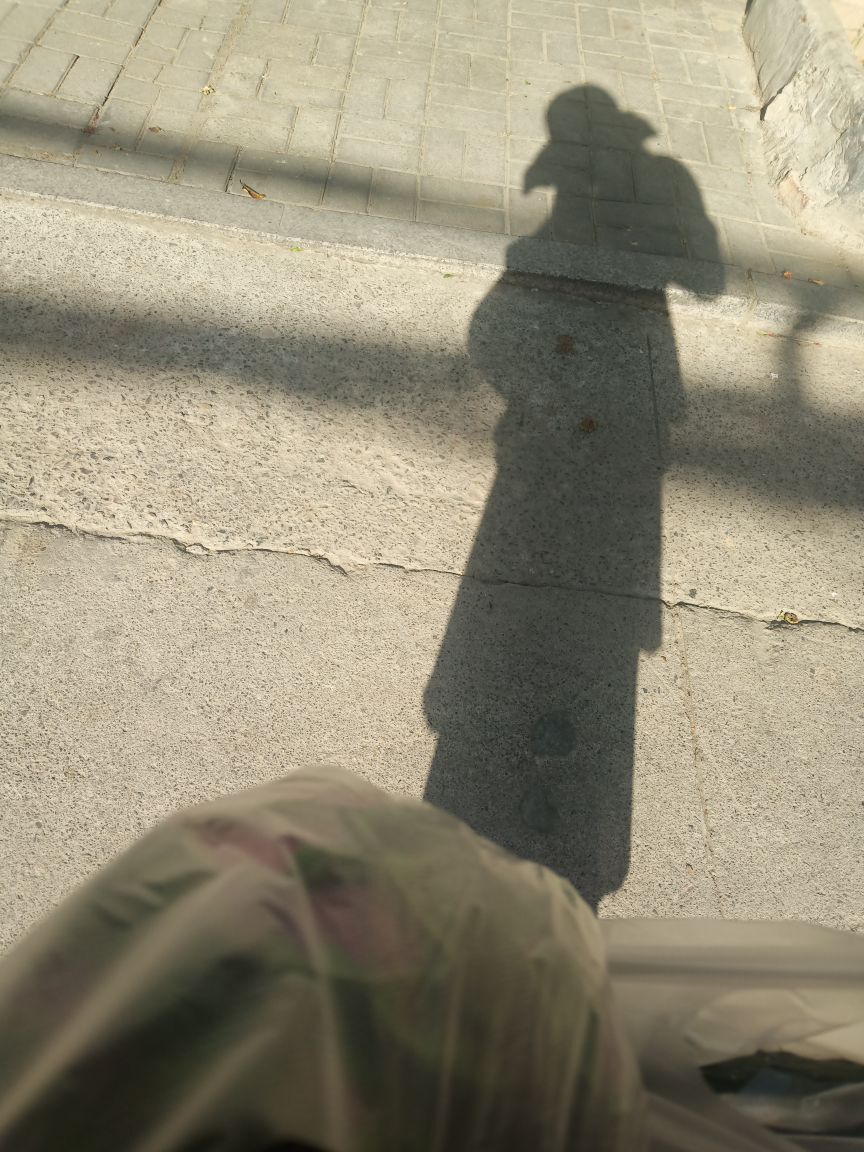 果果(平安好运)的图片