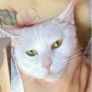 吃饱饭吧