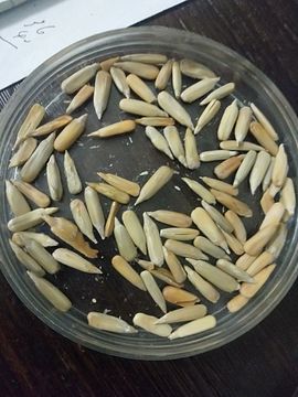 唐大小姐❥主播照片
