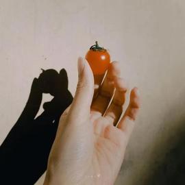 ━☆简希づ休息中主播照片