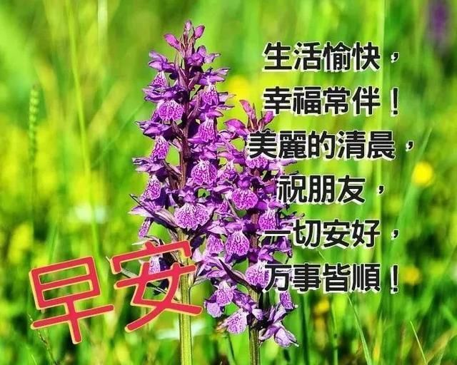 自信的小姐姐🤗🤗的图片