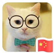 猫猫猫猫猫猫，