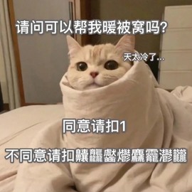 歆甜~主播照片