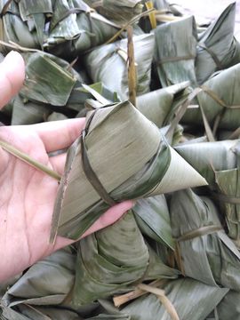小芳，🌸减肥打卡主播照片