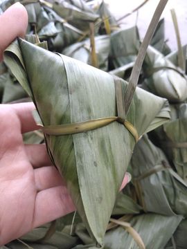 小芳，🌸减肥打卡主播照片