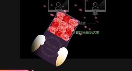 🐯双双🍀主播照片