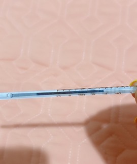 胖可退了主播照片