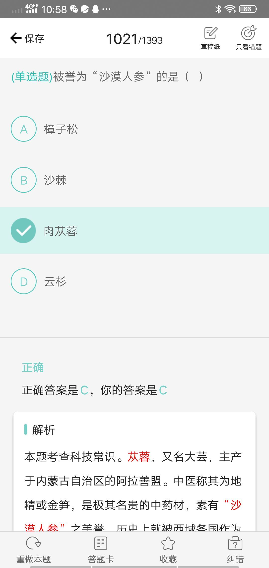 果果(平安好运)的图片