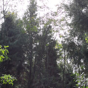 飘摇@.