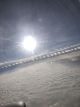 ……若主播照片