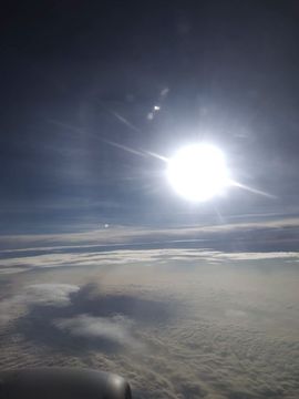 ……若主播照片