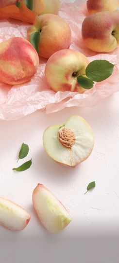 💦念初💫周三见主播照片
