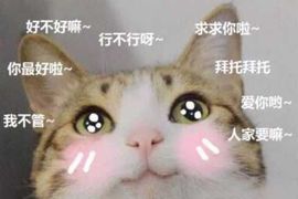 👑䒕暖宝好运旺旺旺主播照片