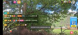 别了，聊聊天主播照片