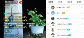 云南壹姐主播照片
