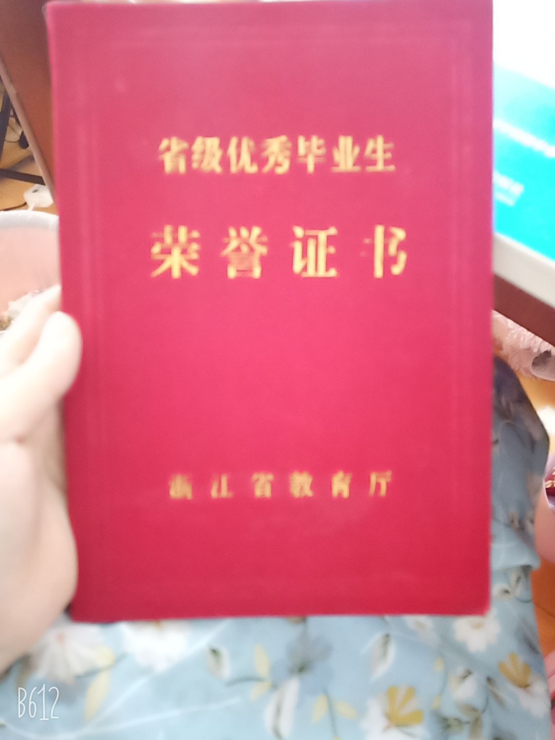 果果(平安好运)的图片