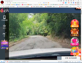 保利哥主播照片