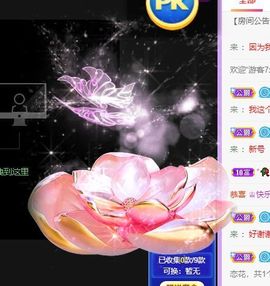 🐯双双🍀主播照片