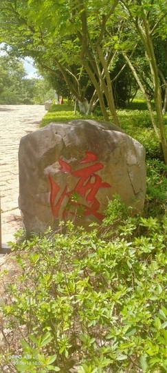 学尔思之主播照片