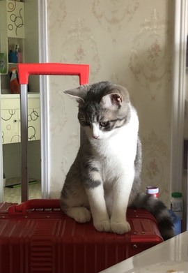 感谢高冷哥哥接生晓晓主播照片