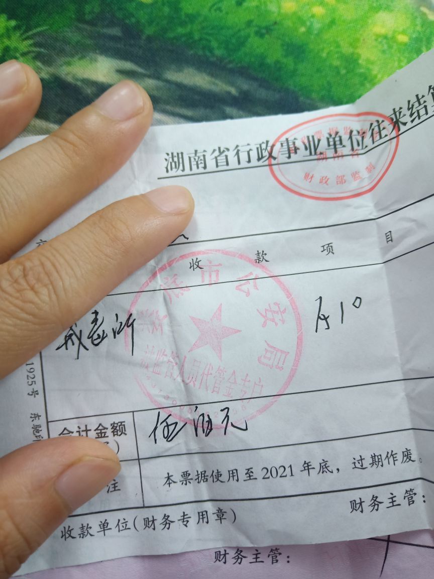 果果(平安好运)的图片