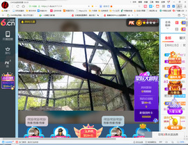 保利哥主播照片