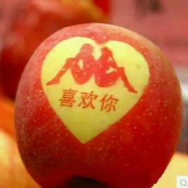 人生如戏经理酸甜苦辣主播照片