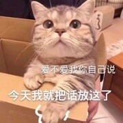 没币的东北战狼主播照片