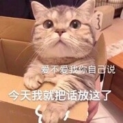 没币的东北战狼主播照片