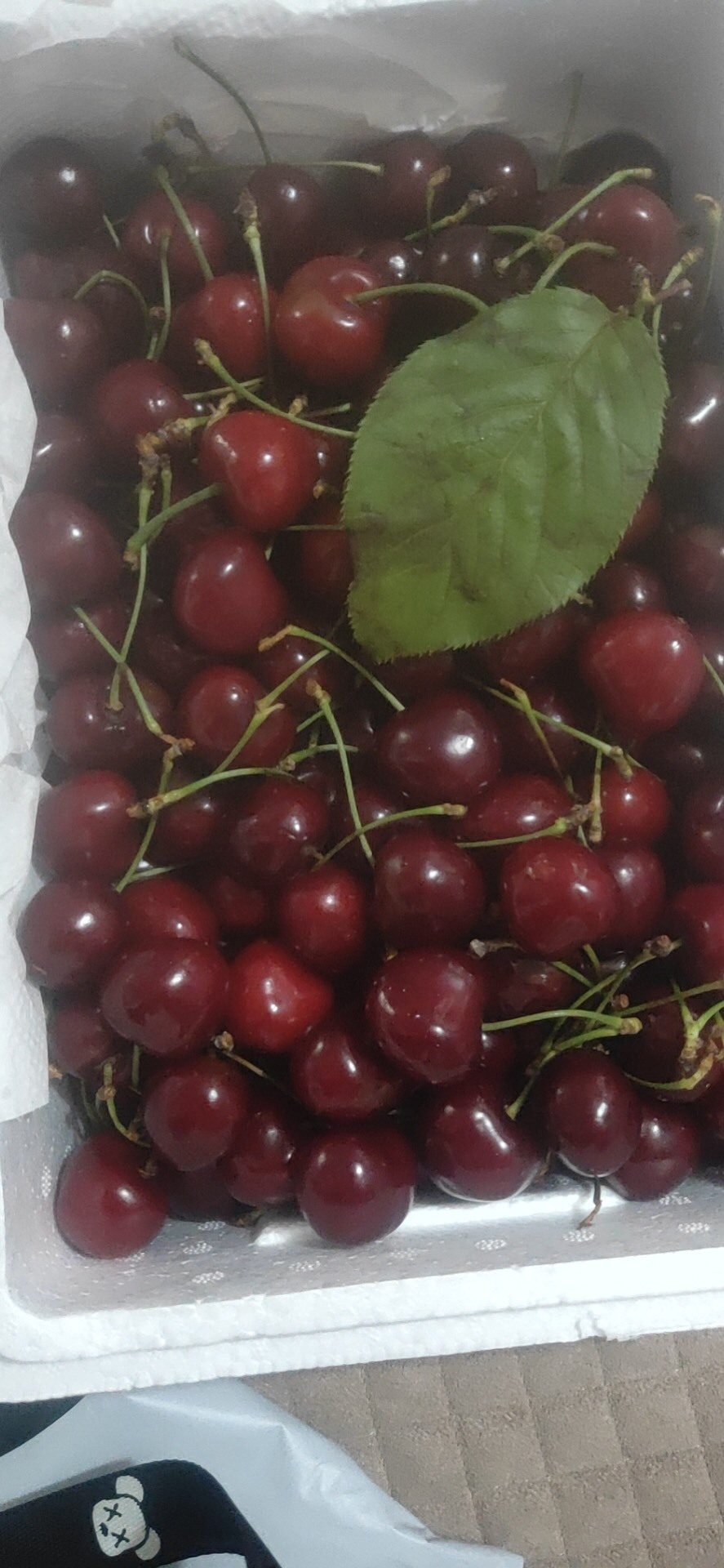 a颜新人求关注的主播照片