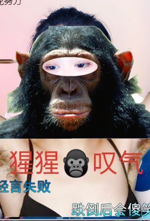 花无缺的故事结束啦的图片