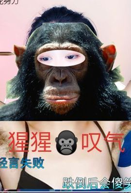 花无缺的故事结束啦主播照片